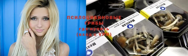 каннабис Алексеевка